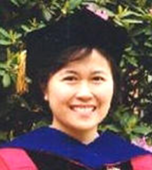Ja-An Annie Ho Professor